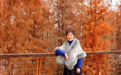 人物动物交互狗第1集